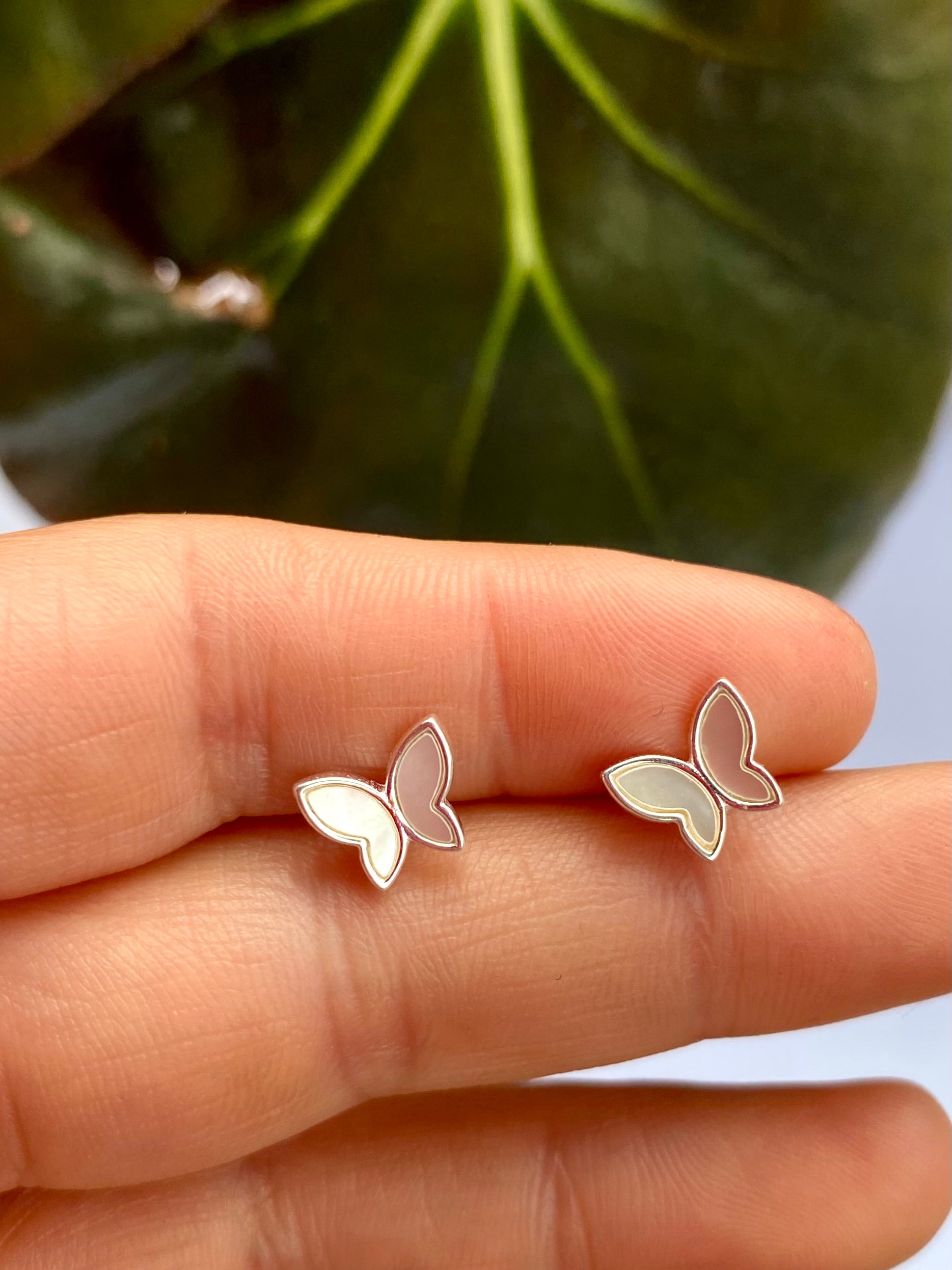 Aros apegados mariposa