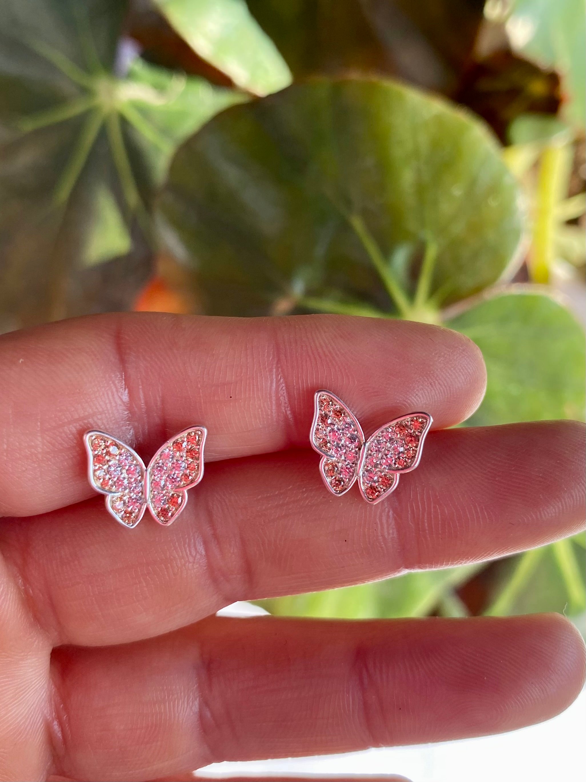 Aros apegados mariposa